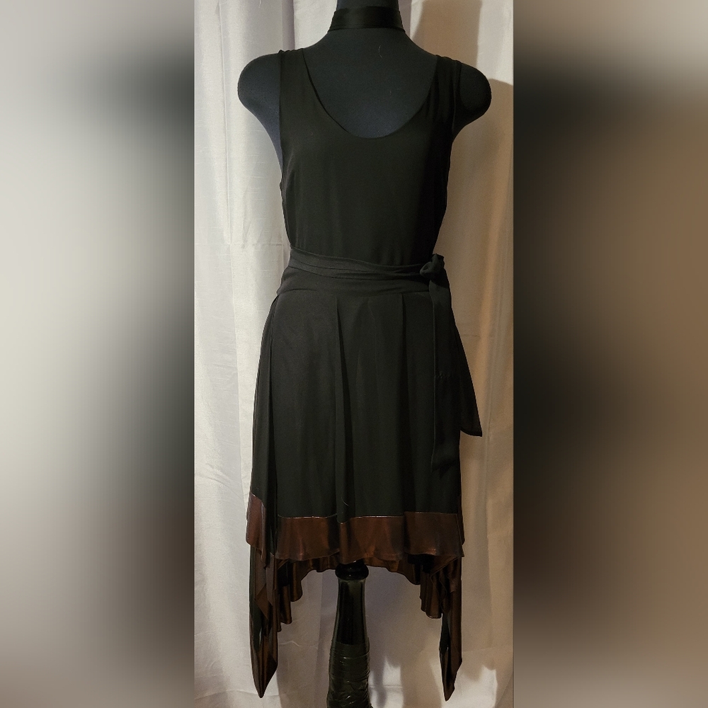 VENA CAVA flirty Asymmetrical sheer dress